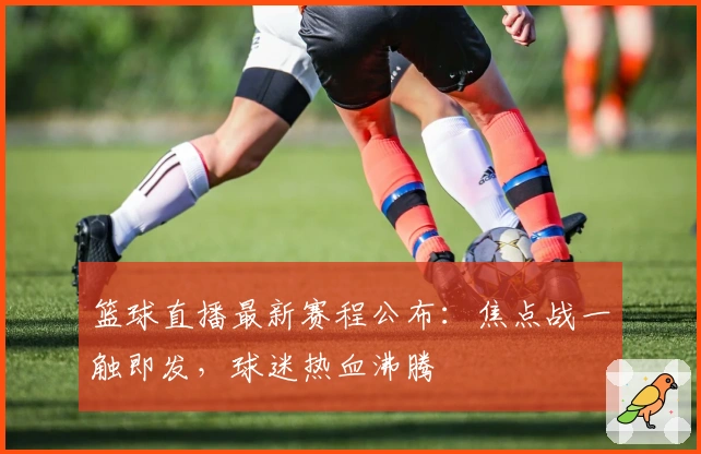 篮球直播最新赛程公布：焦点战一触即发，球迷热血沸腾